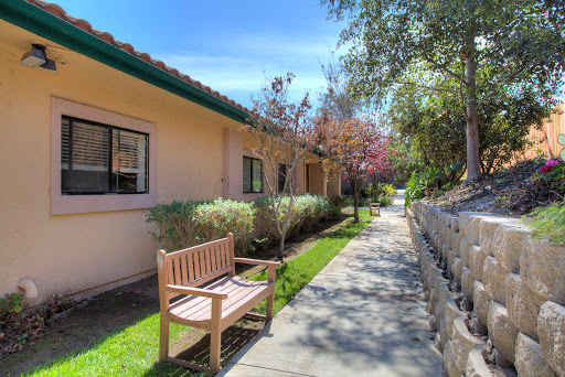 A peaceful walkway lined with greenery and a simple wooden bench, perfect for enjoying the outdoors.