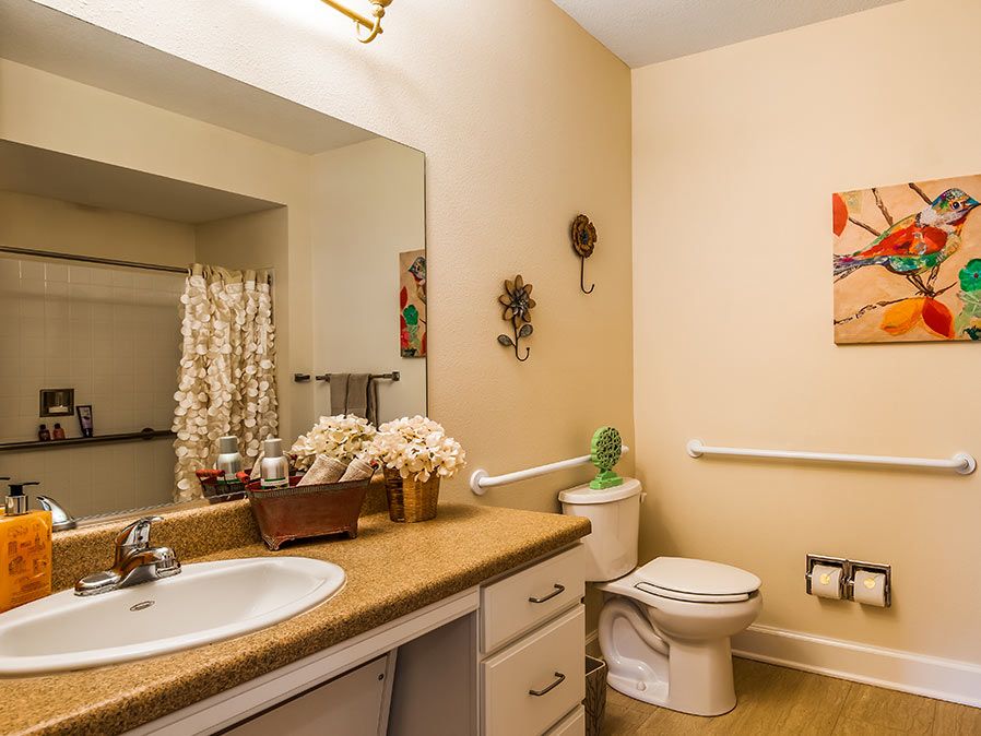 A well-organized bathroom featuring a sink with a wooden countertop, a mirror, and decorative elements.