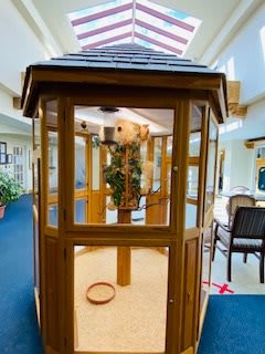 A wooden and glass birdcage with plants inside, located indoors.