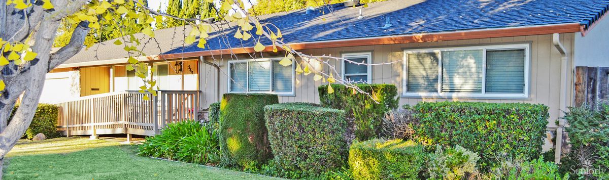 A residential house with neatly trimmed bushes and hedges in the front yard on a sunny day.