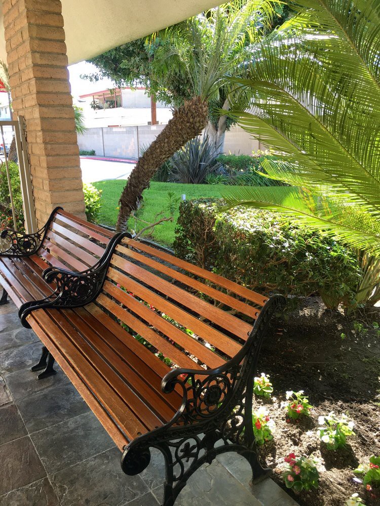 A wooden bench in a sunny garden setting, surrounded by lush greenery and a palm tree.