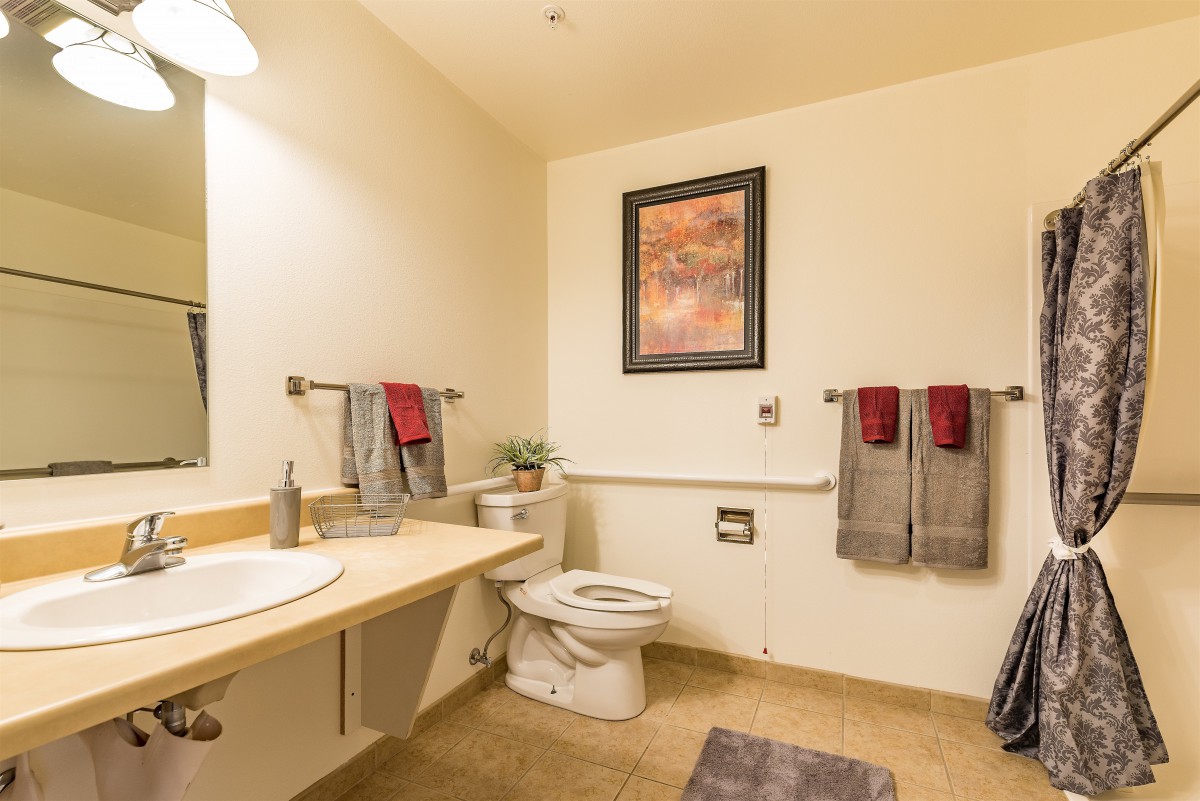 A tidy bathroom with a sink, toilet, and decorative elements.