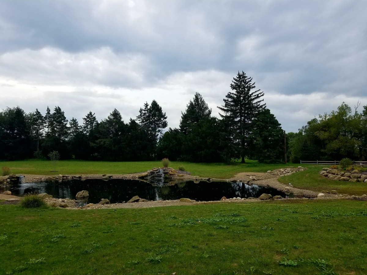 A serene landscape with a pond surrounded by trees and grassy fields under a cloudy sky.