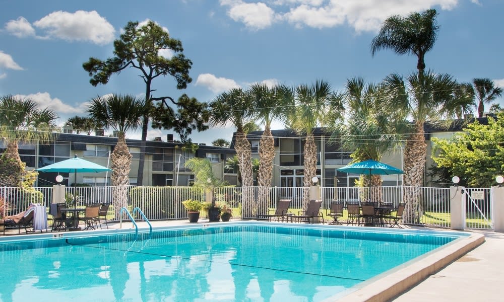 A serene outdoor swimming pool surrounded by palm trees and apartment buildings.