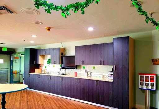 A modern kitchen featuring dark wooden cabinets and bright lighting, adorned with greenery.
