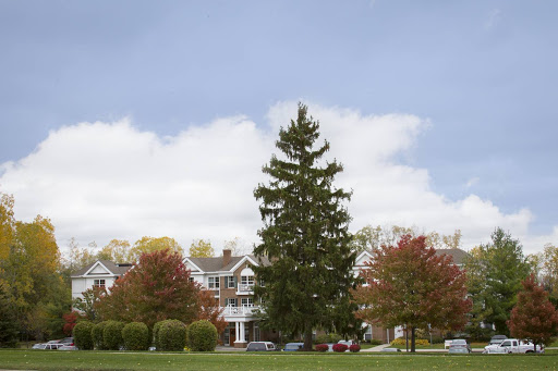 A tall evergreen tree stands in the foreground, surrounded by colorful autumn foliage and houses under a partly cloudy sky.