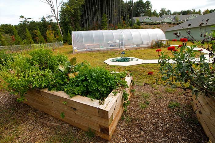 An outdoor garden with a raised bed, plants, and a nearby greenhouse.