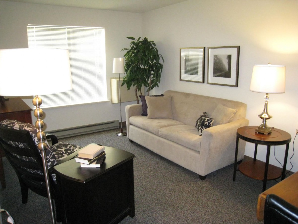 A cozy living room with a sofa, indoor plant, and artwork on the wall.