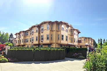 Fanno Creek By Elite Care