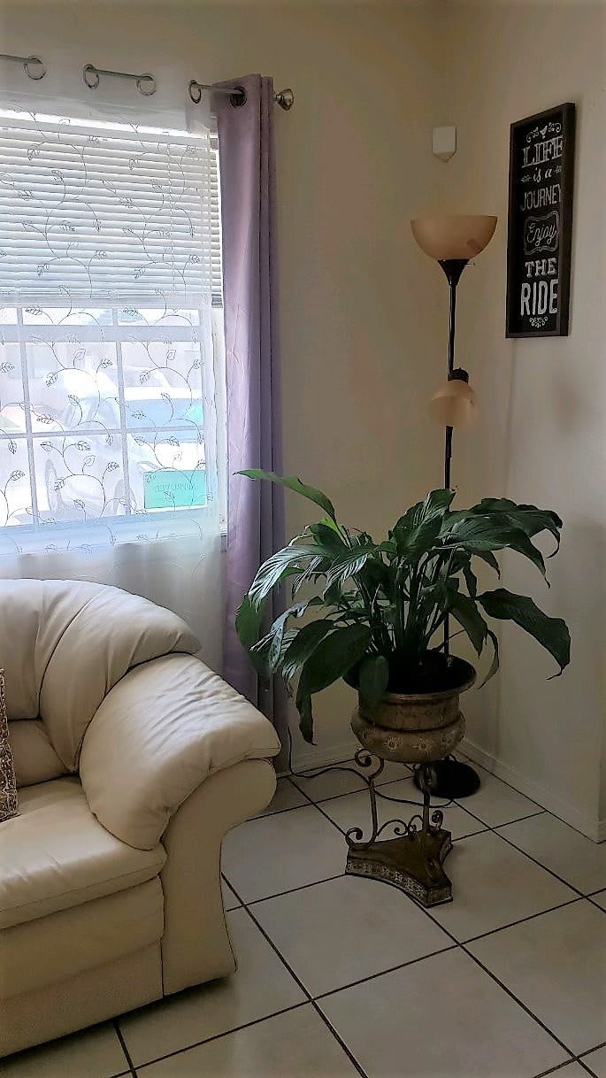 A cozy living room corner featuring a sofa, indoor plant, and a floor lamp by the window.