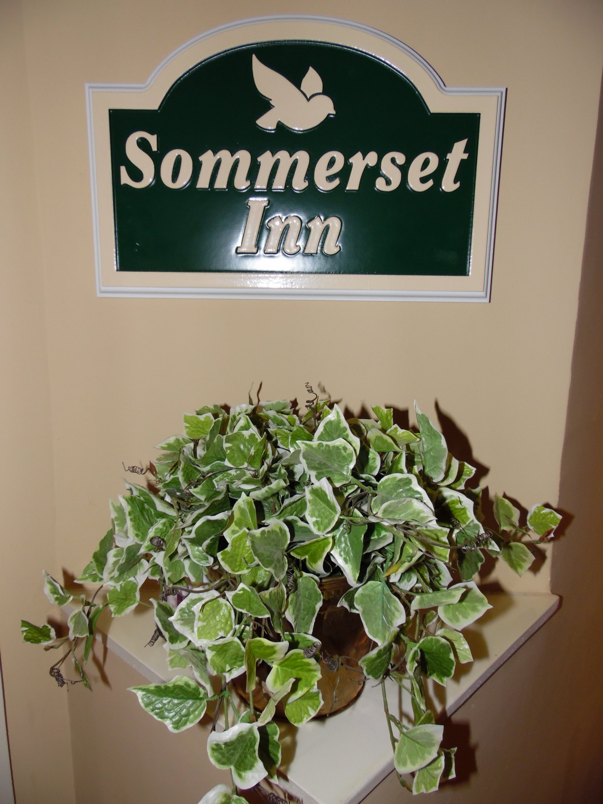 A decorative sign for 'Sommerset Inn' above a leafy plant.