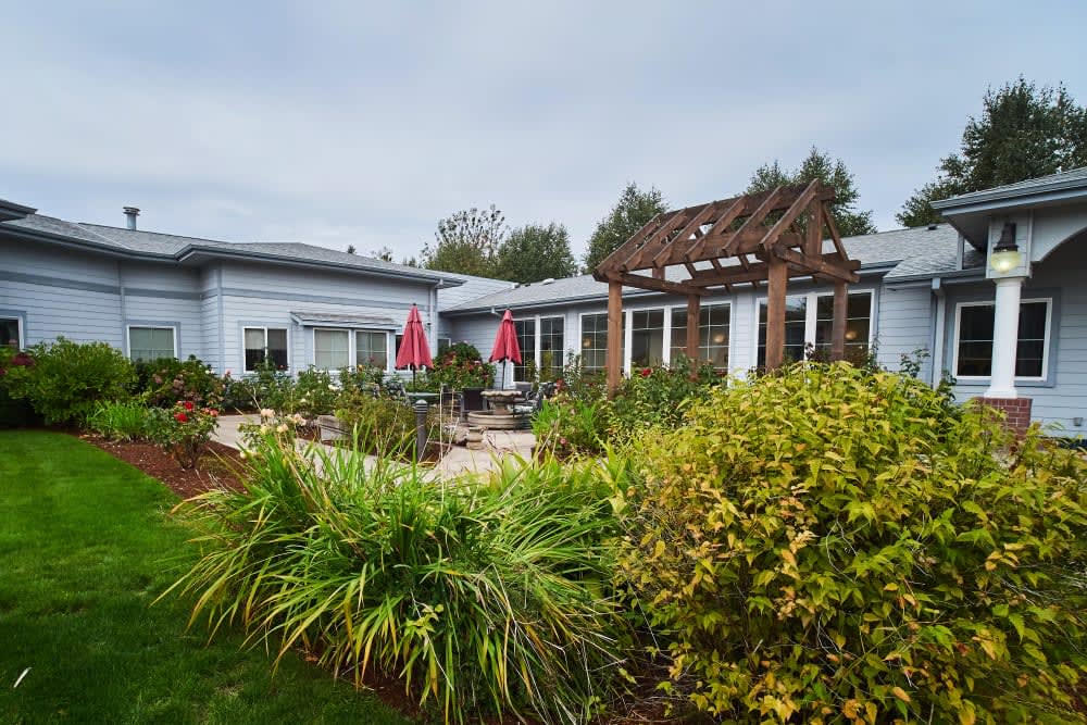 A cozy backyard with a well-maintained garden, featuring a patio and pergola adorned with red umbrellas.