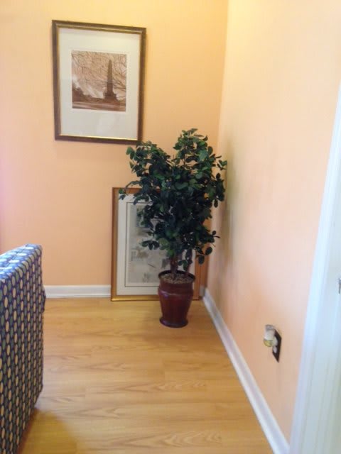 A cozy corner featuring a potted plant and framed artwork.