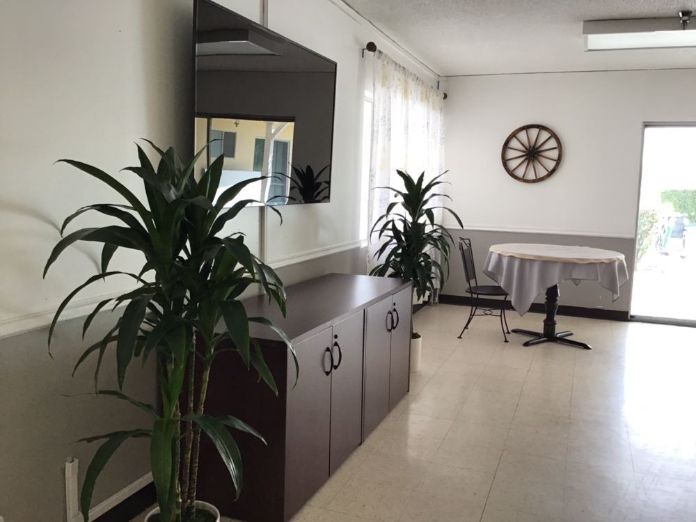 A bright room with indoor plants, a large wall clock, and minimalist furniture.