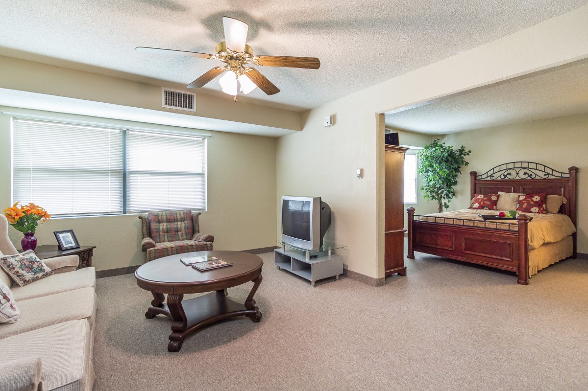 A cozy living room featuring a ceiling fan, TV, coffee table, and chair with natural light coming through the window.