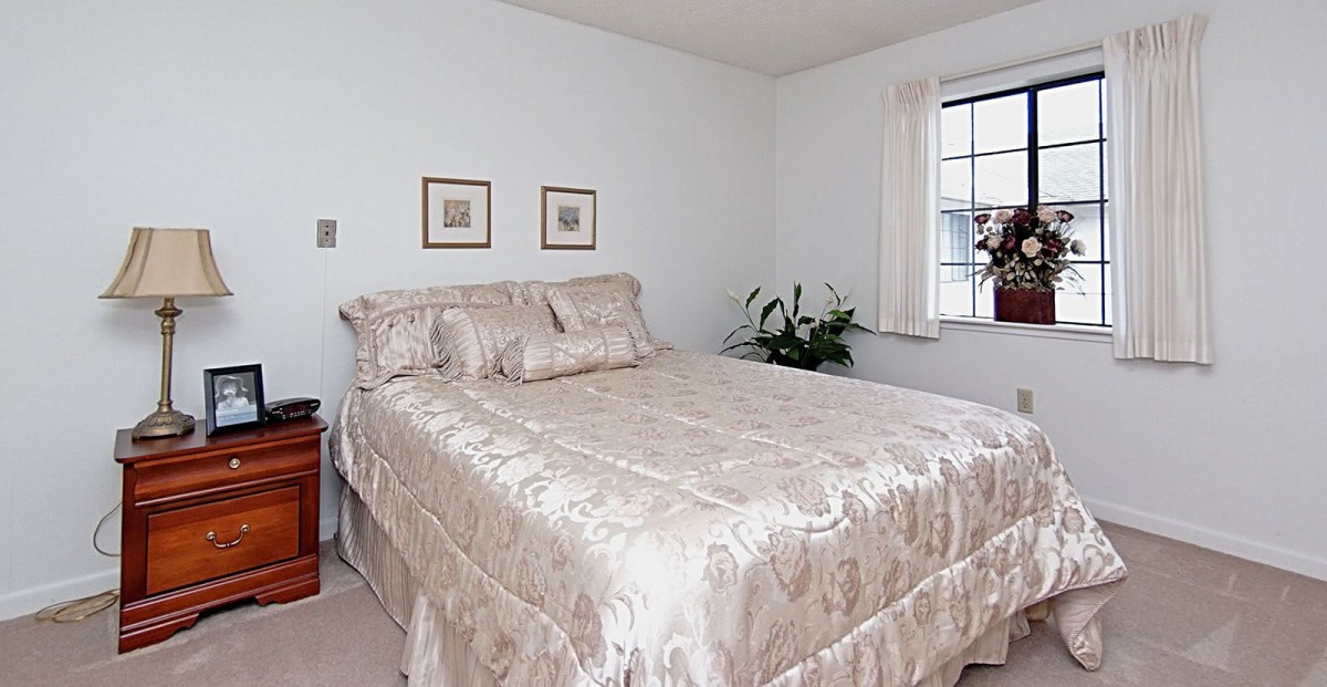 A cozy bedroom with a neatly made bed and elegant bedding, featuring a potted plant by the window.