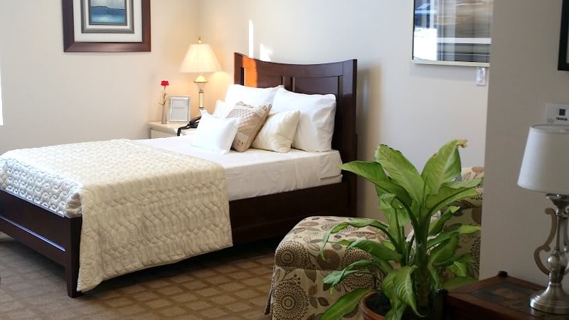 A cozy bedroom with a neatly made bed, adorned with pillows and a patterned blanket. A lamp sits on the nightstand, and a green plant adds a touch of nature to the room.