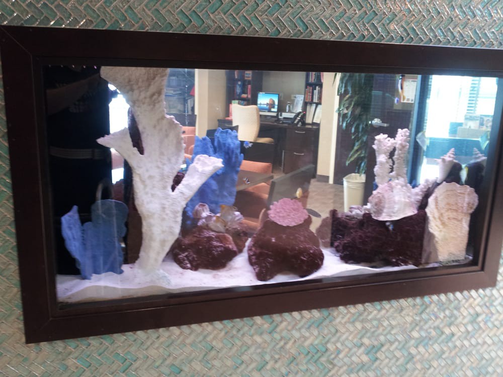 An indoor aquarium featuring various coral reef decorations.
