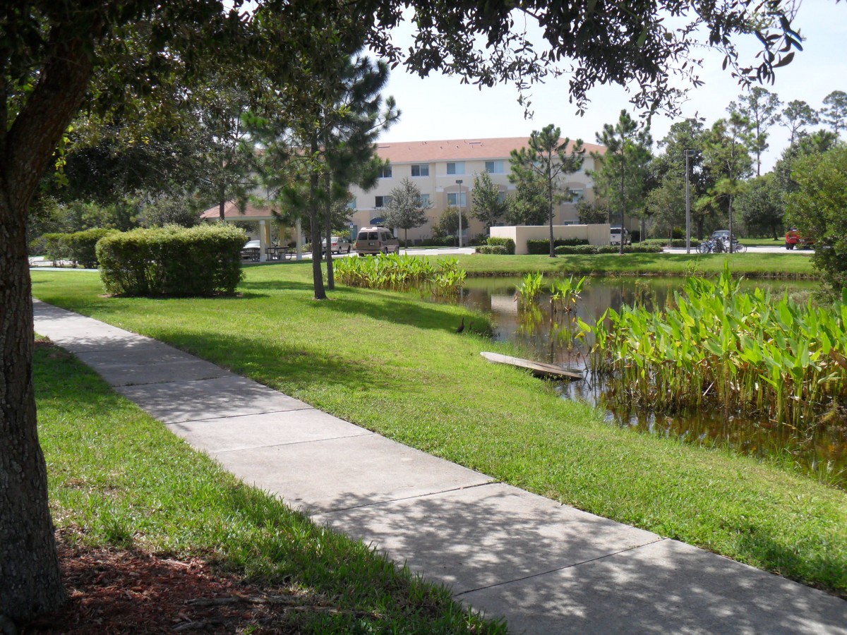 Willow Creek