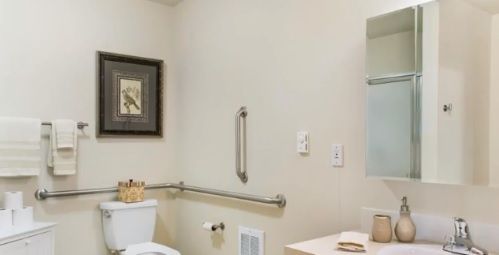 A clean and accessible bathroom with a grab bar, toilet, and wall-mounted artwork.