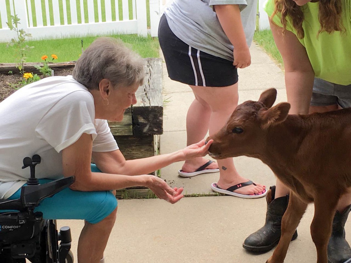 Our House Senior Living Assisted Care - Cambridge