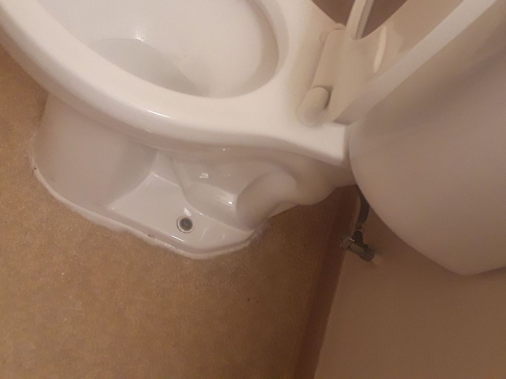 A close-up view of a white toilet in a bathroom setting.