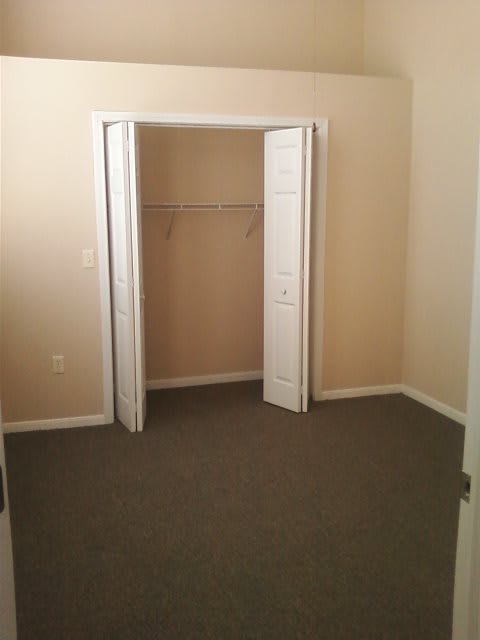 An empty room with an open closet and carpeted flooring.