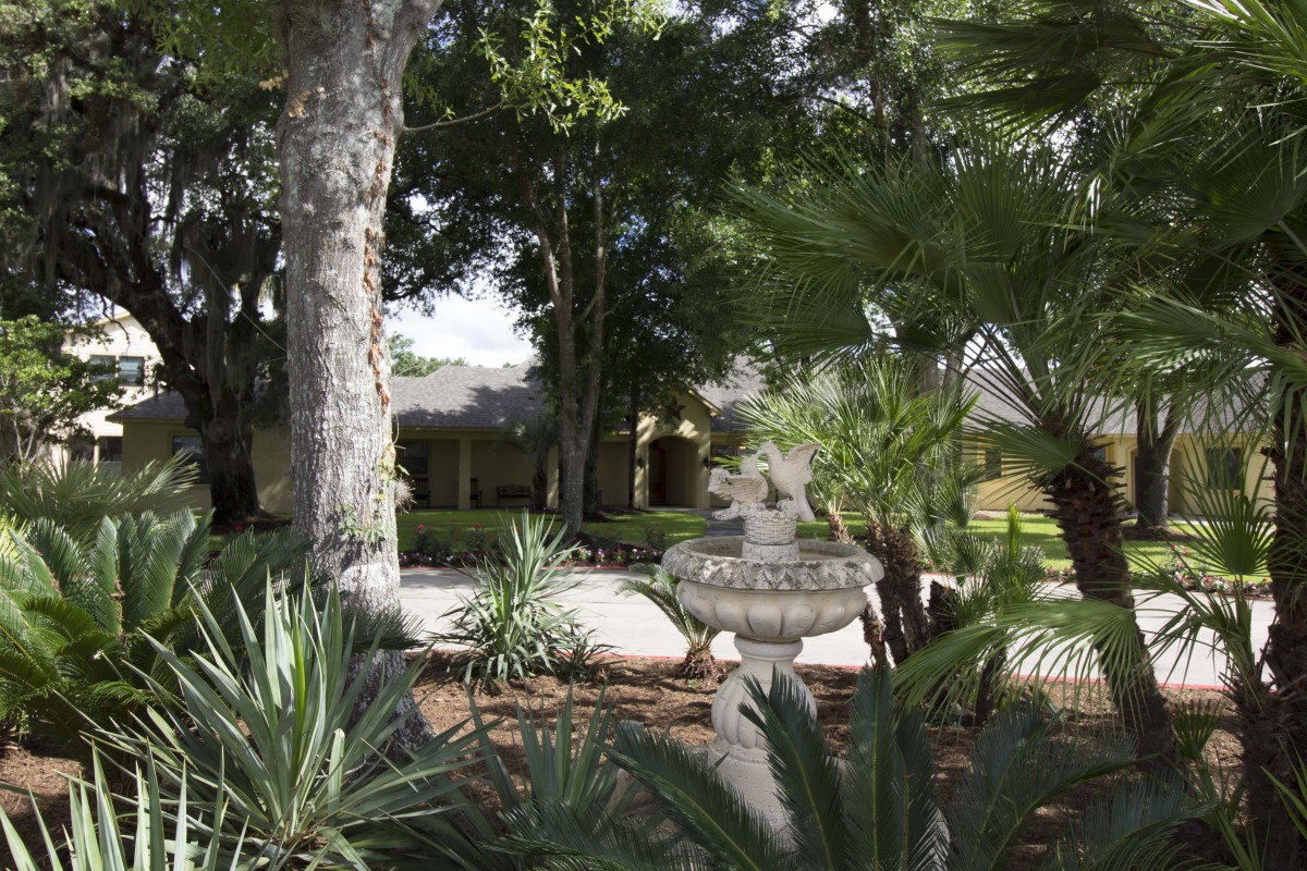 A serene garden with a central fountain surrounded by lush greenery and tall trees.
