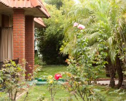 A tranquil garden with blooming flowers and lush greenery next to a brick house.