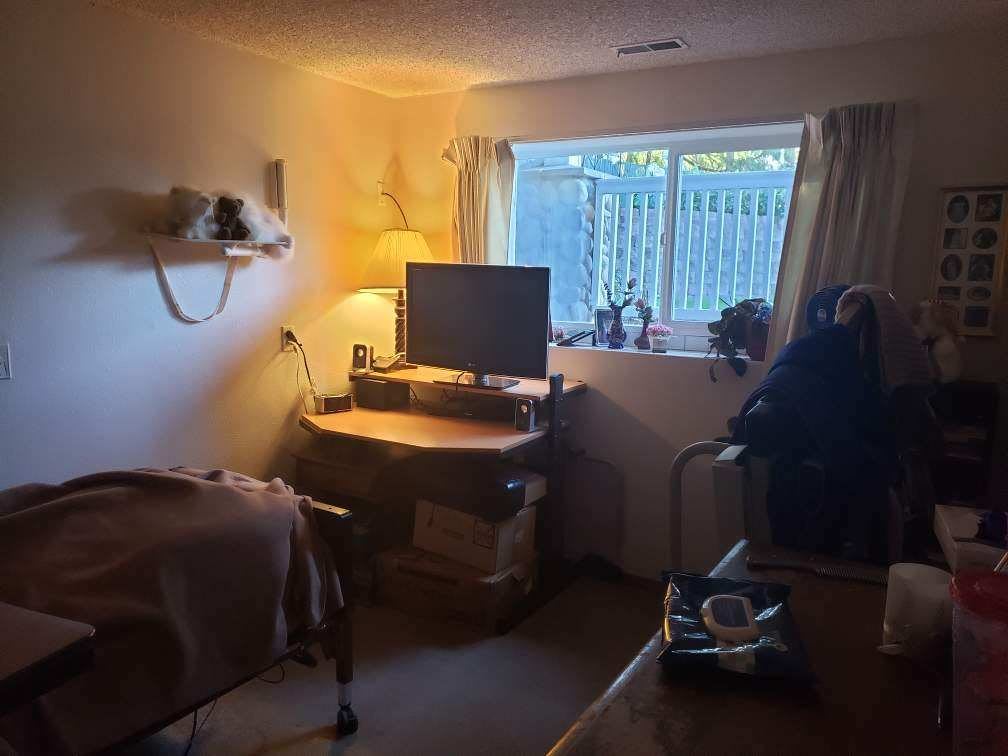 A cozy room with a computer desk by the window and soft lighting.