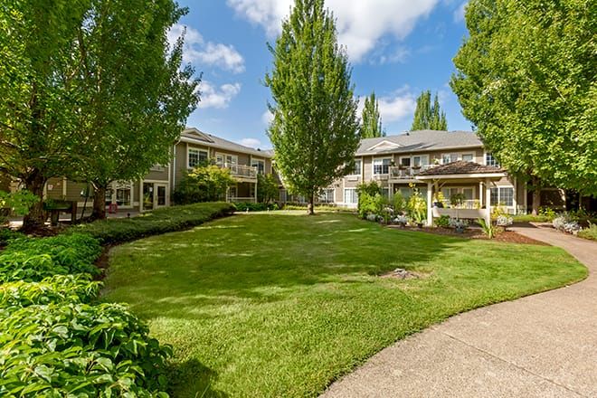 A scenic residential yard with lush greenery and trees under a clear blue sky.