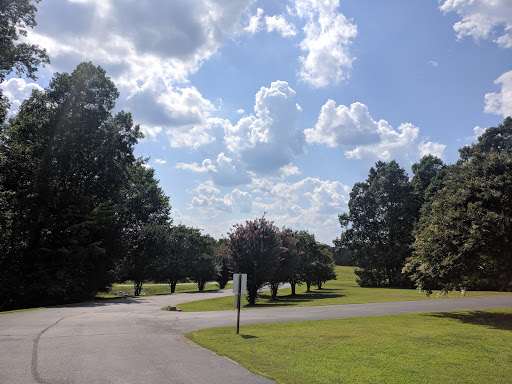 A serene view of a park with lush trees and a clear blue sky.