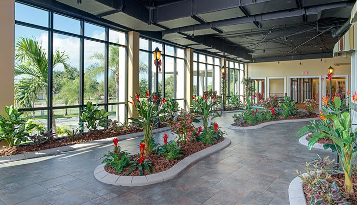 A modern indoor garden with large windows allowing ample natural light.