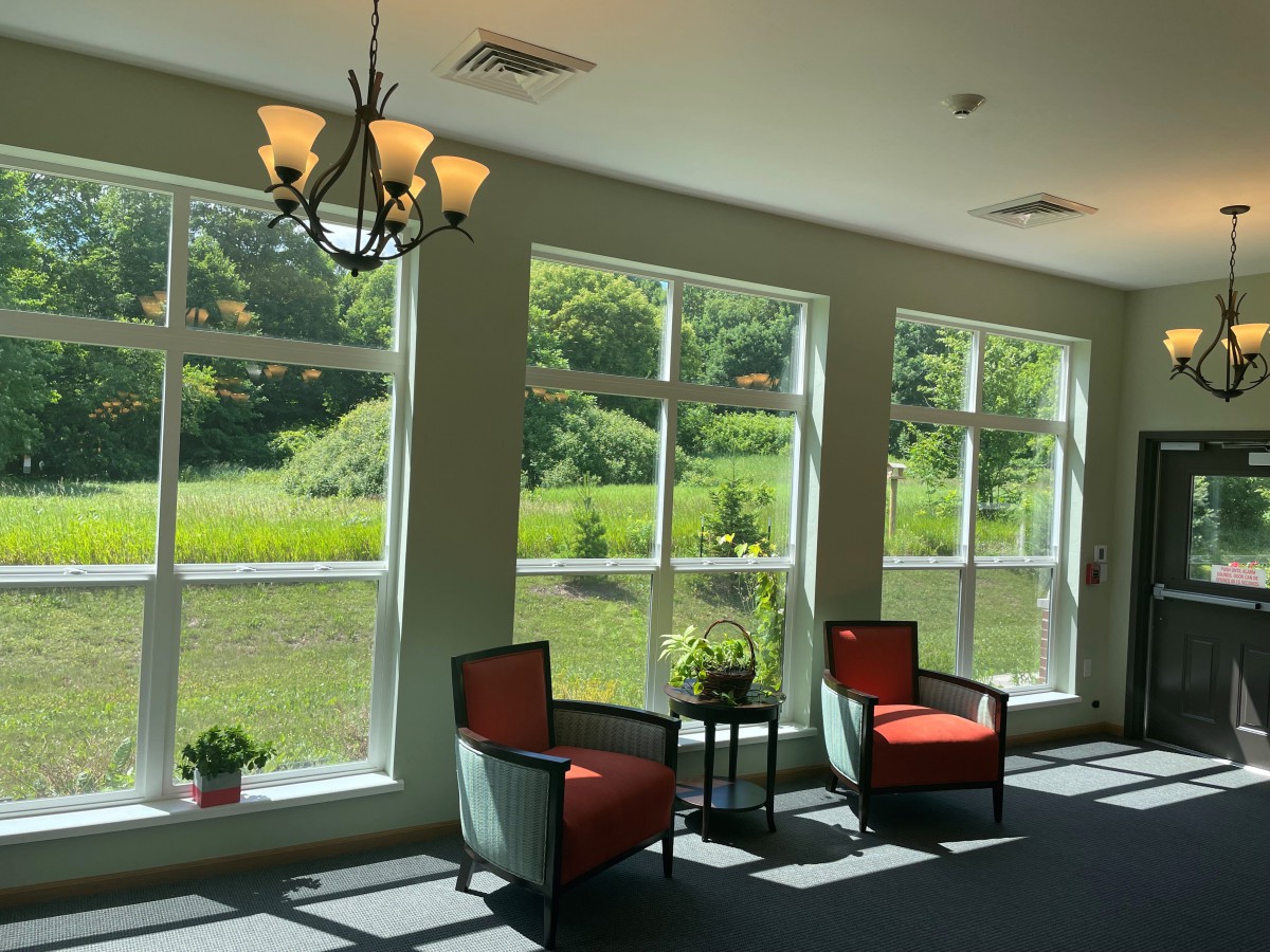 A sunlit lounge area with two chairs by large windows overlooking greenery.