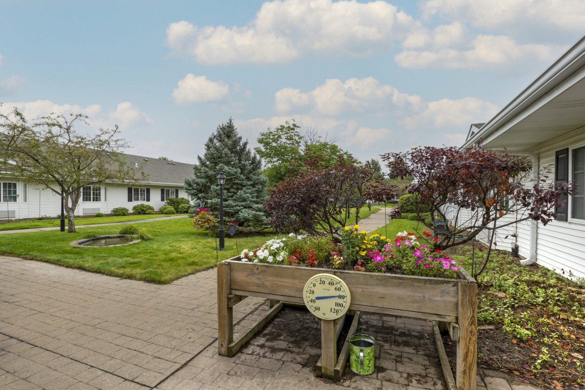 A beautifully maintained garden with colorful flowers and a paved pathway.