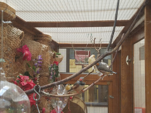 A serene moment captured in an aviary, showcasing a bird perched on a branch surrounded by vibrant flowers.