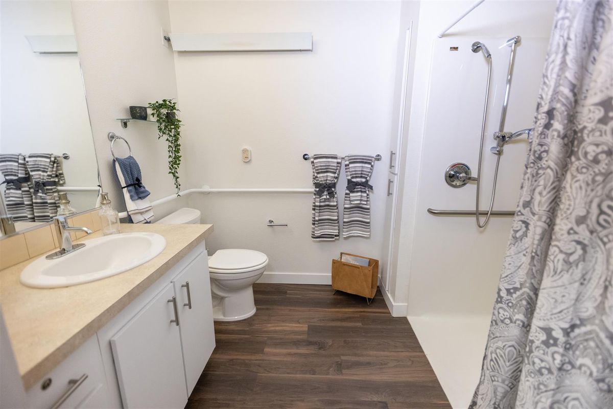 A modern, accessible bathroom featuring a shower with grab bars, a sink, and a toilet on wooden flooring.