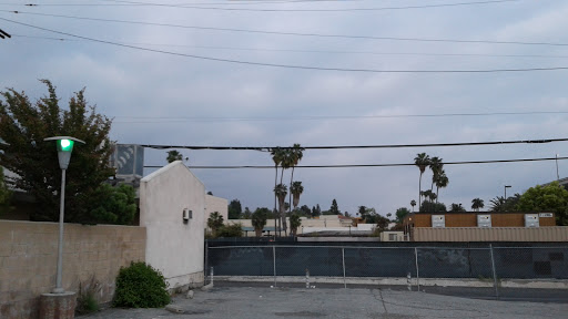 A view of an urban landscape featuring palm trees and a cloudy sky.