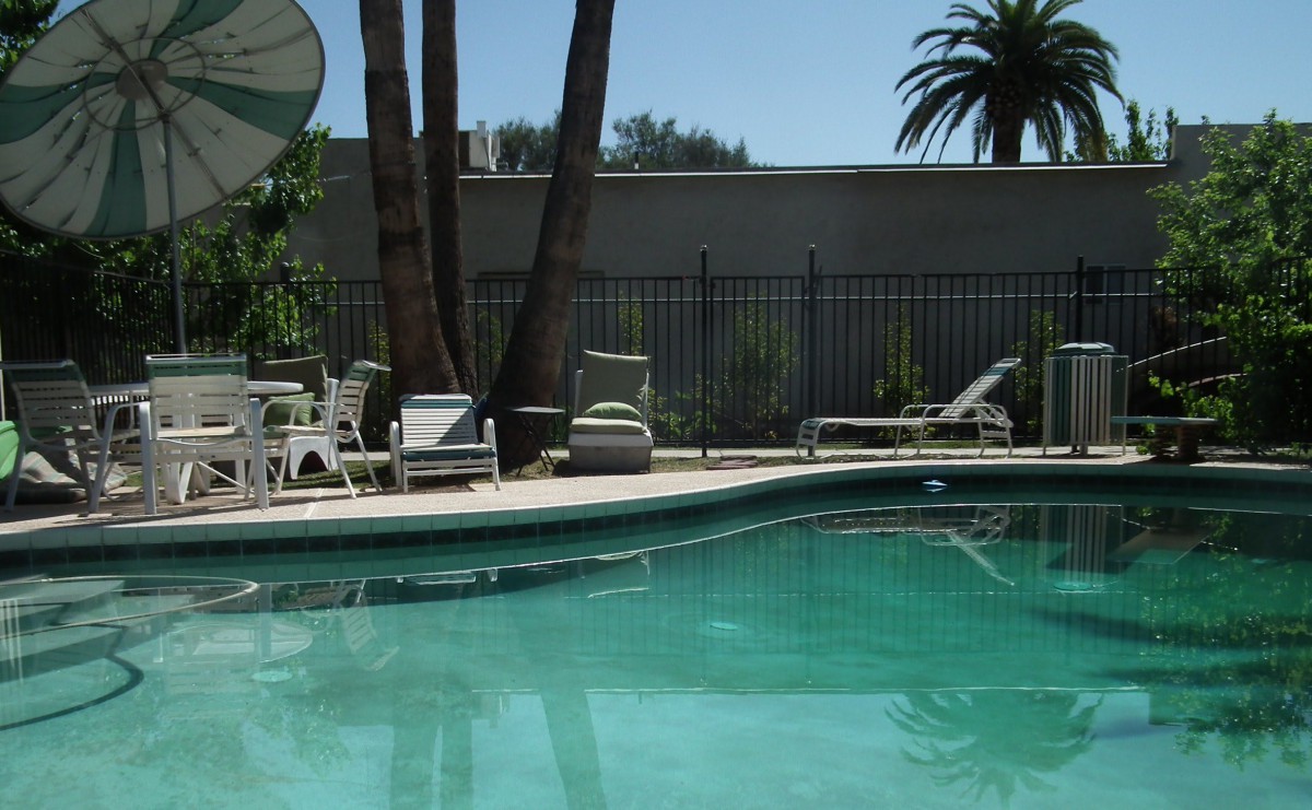 A serene outdoor pool area surrounded by palm trees and patio furniture.
