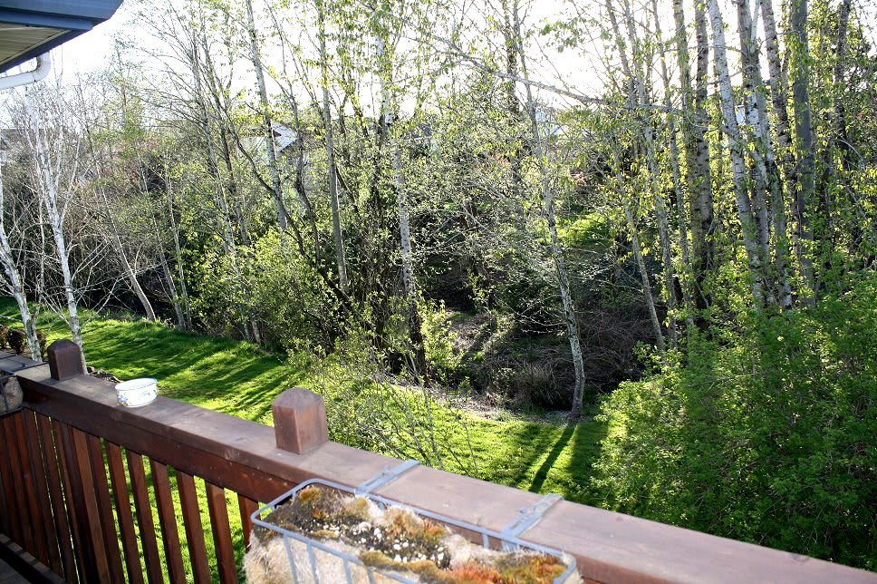 A view from a deck overlooking lush green trees and a sunlit landscape.