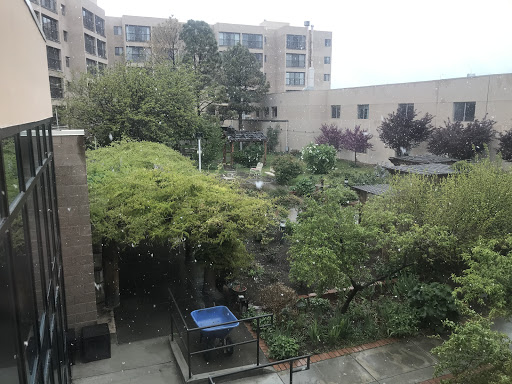 A serene urban garden viewed from an apartment balcony, showcasing lush greenery and a small outdoor space.