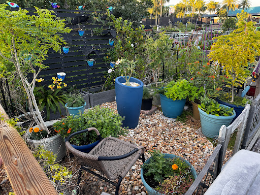 A cozy garden corner filled with various plants in colorful pots, creating a serene outdoor setting.