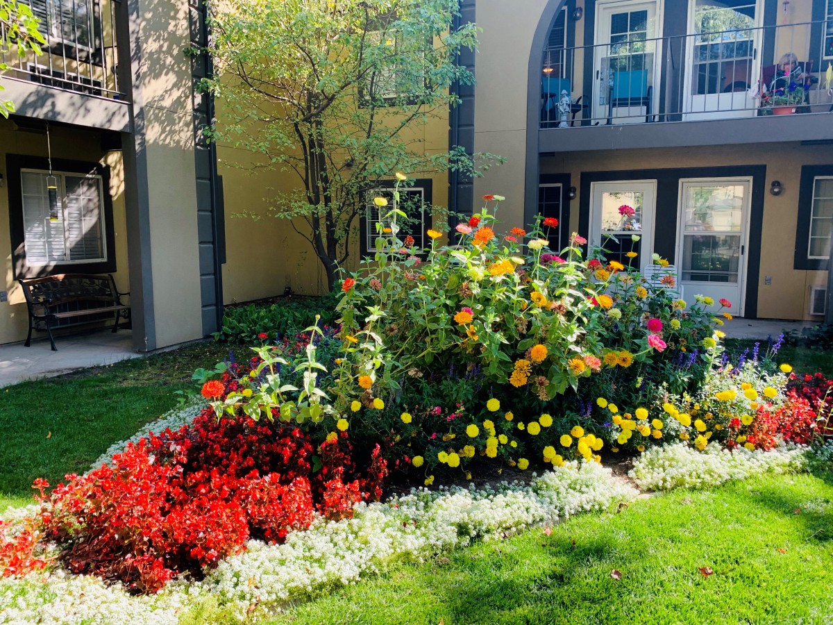 A vibrant garden with various colorful flowers in front of a building.