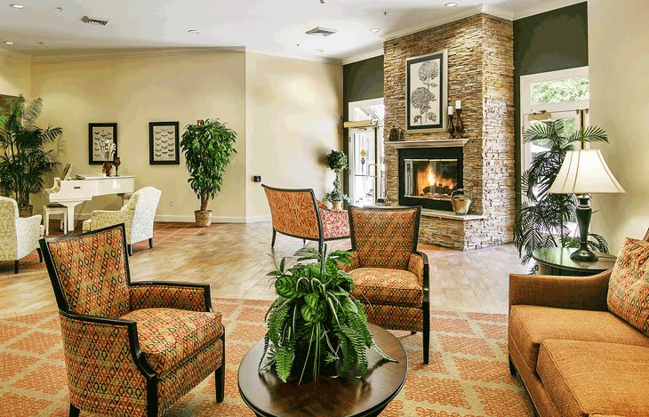 A cozy living room featuring a fireplace, comfortable seating, and lush greenery.
