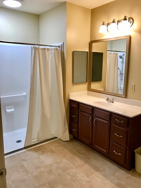A bathroom featuring a shower with a curtain, a vanity with a large mirror, and wooden cabinetry.