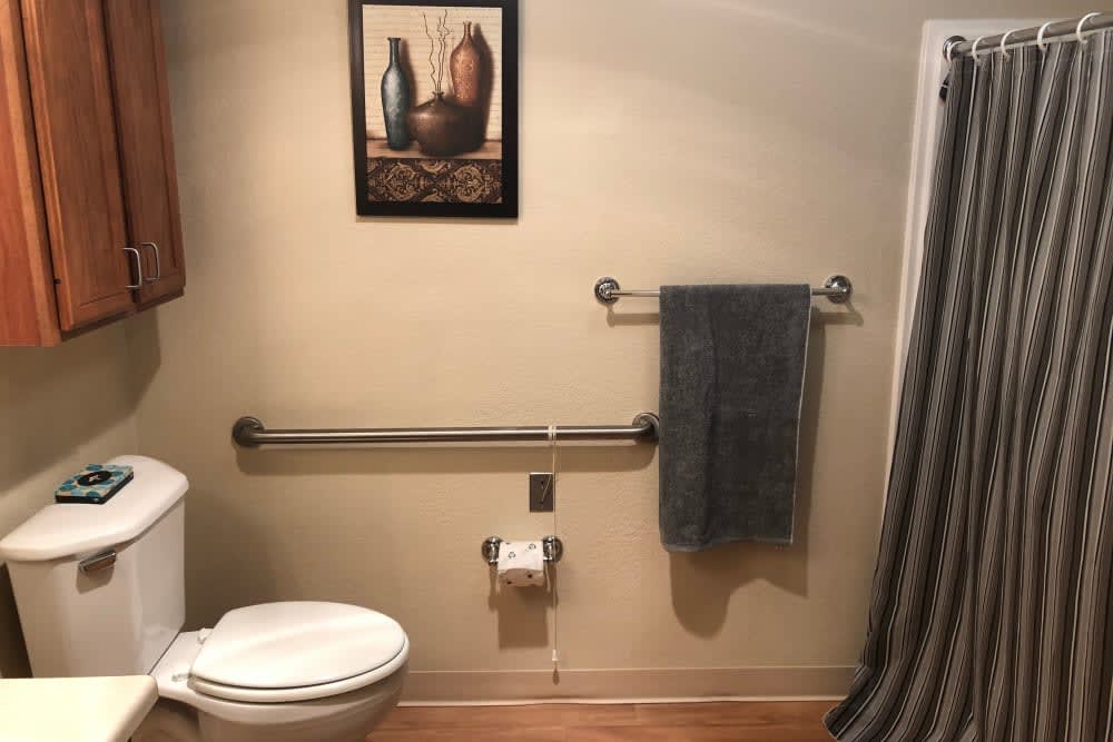 A bathroom equipped with a toilet, grab bar, towel rack, and wall artwork.
