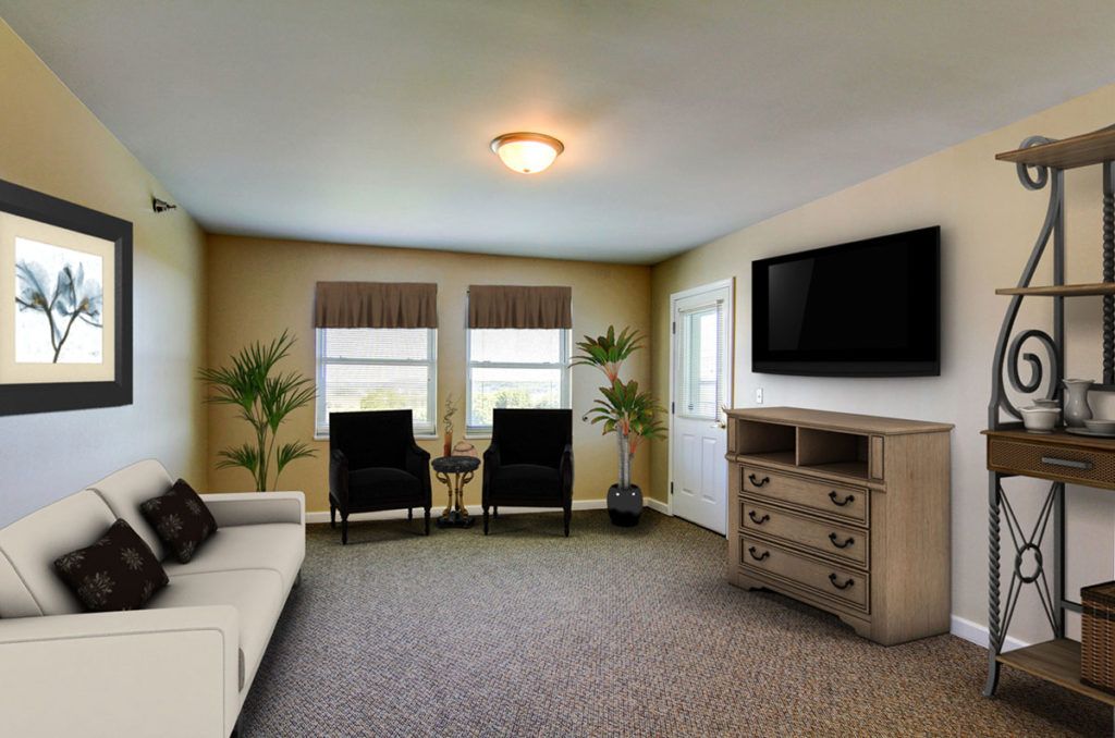 A cozy living room with a sofa, two chairs, a television, and decorative plants.