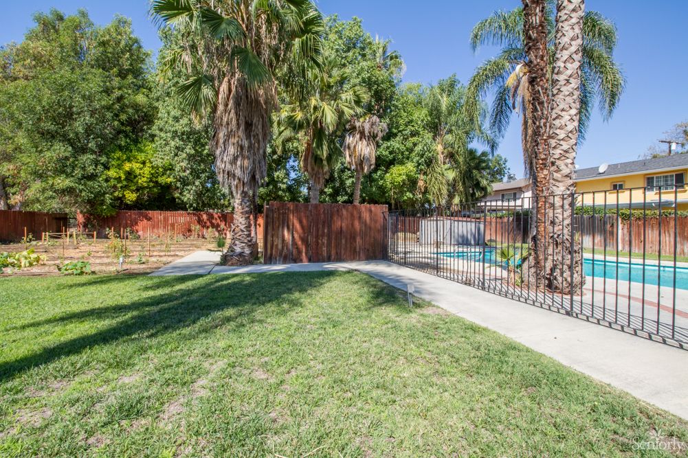 A sunny backyard with palm trees, a grassy lawn, and a fenced pathway.