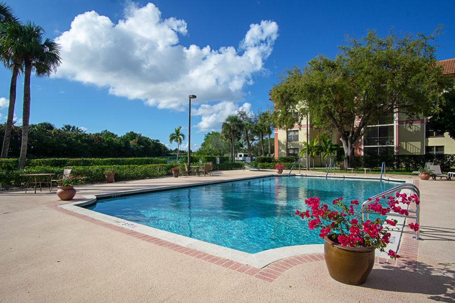 A serene outdoor swimming pool surrounded by lush trees and vibrant flowers under a clear blue sky.