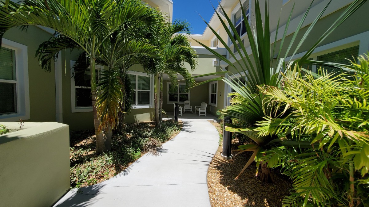 A pathway surrounded by lush tropical plants leading to a building.